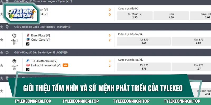 Các thông tin giới thiệu cho thấy tầm nhìn và sứ mệnh của nền tảng